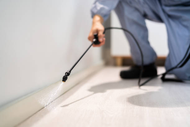 Licensed Termite Control service in Homer, IL - Nex Pest Control