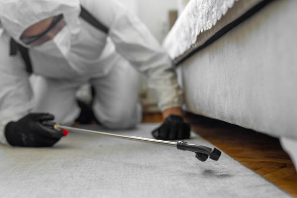 Professional Termite Control technician working in Homer, IL