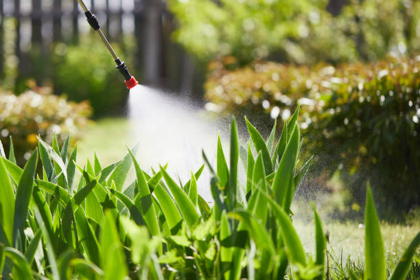 24/7 Emergency Termite Control experts in Homer, IL