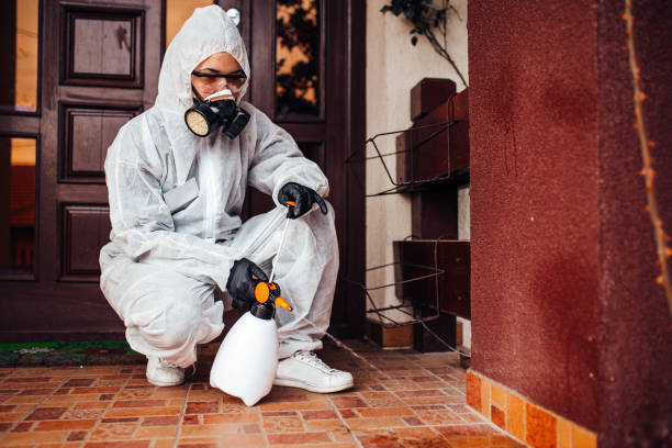 Reliable Termite Control contractor in Homer, IL by Nex Pest Control